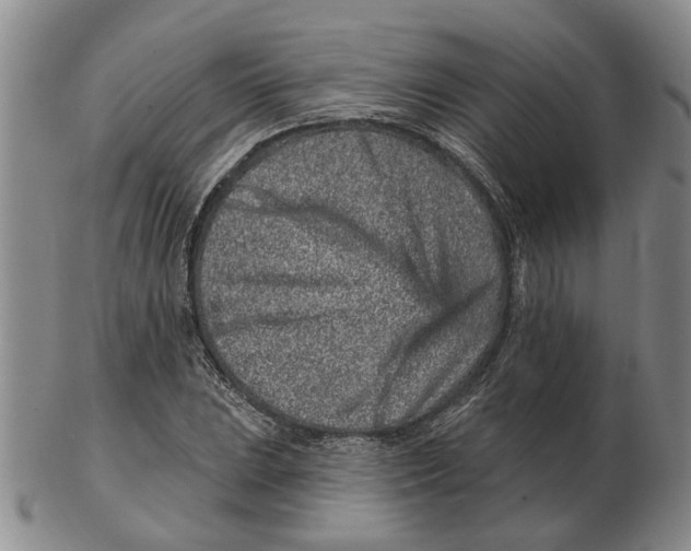 X0000102791023200809081045