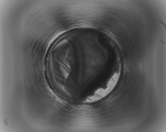 X0000102791024200809081045