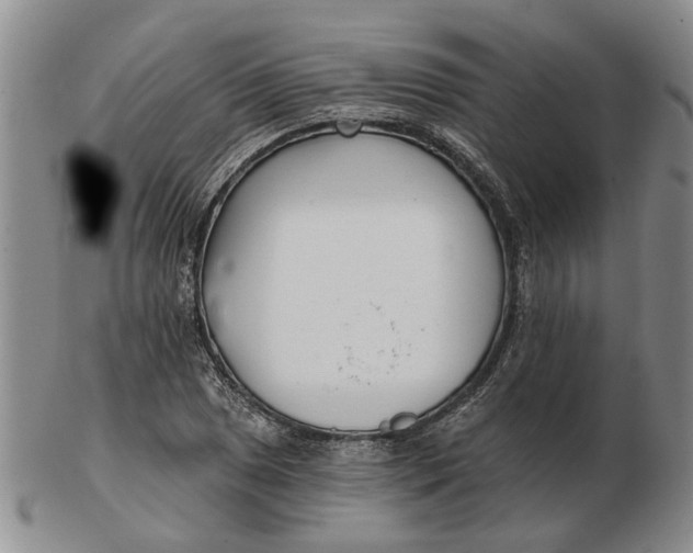 X0000102791025200809081045