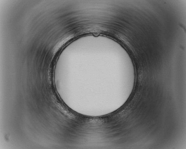 X0000102791026200809081045