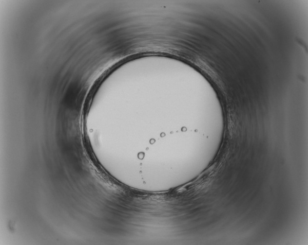 X0000102791028200809081045