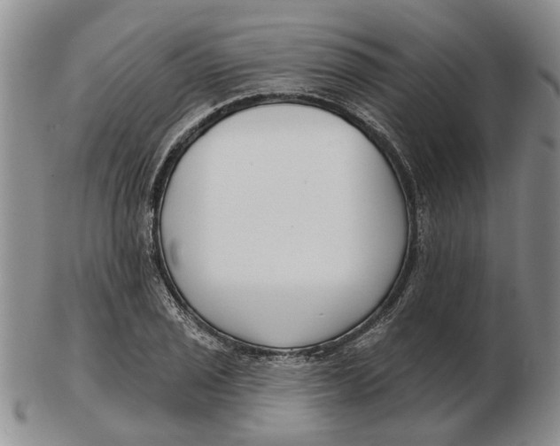 X0000102791029200809081045