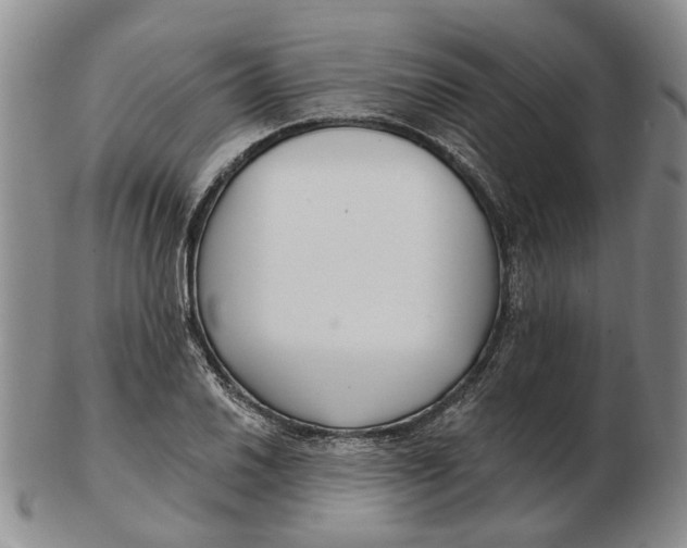 X0000102791030200809081045