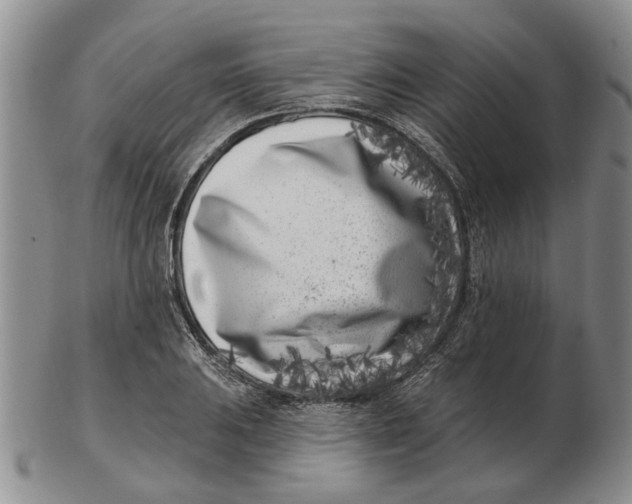 X0000102791031200809081045