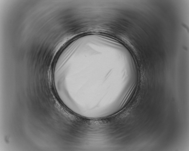 X0000102791032200809081045