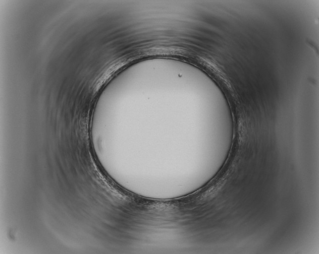 X0000102791033200809081045