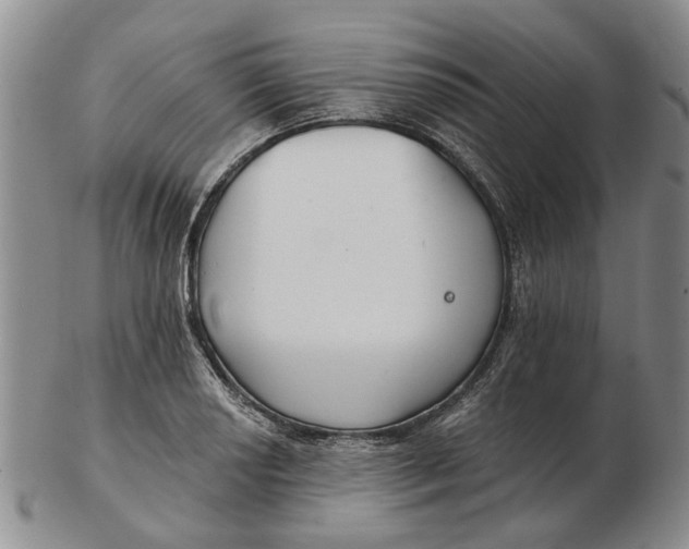 X0000102791034200809081045