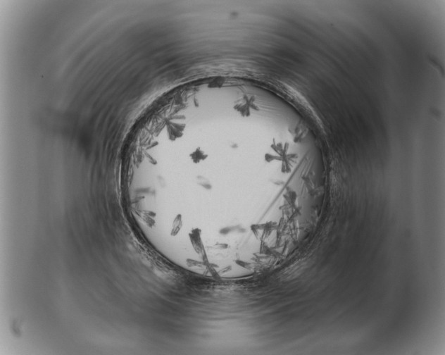 X0000102791035200809081045