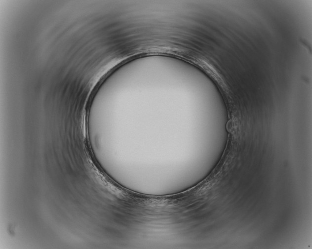 X0000102791036200809081045