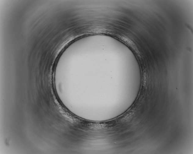 X0000102791039200809081045