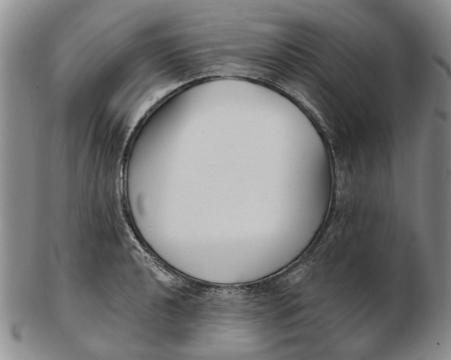 X0000102791040200809081045