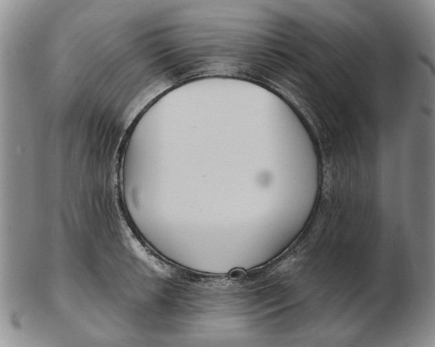 X0000102791042200809081045