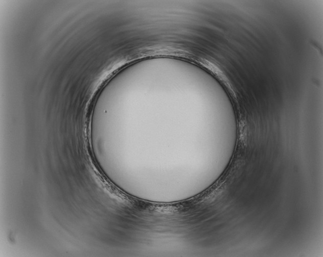 X0000102791043200809081045