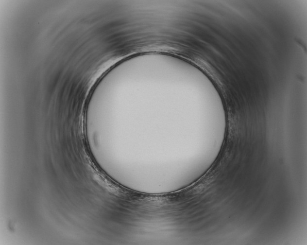 X0000102791044200809081045