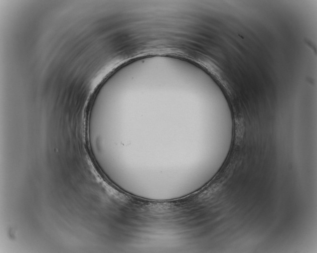 X0000102791046200809081045