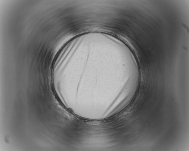 X0000102791048200809081045