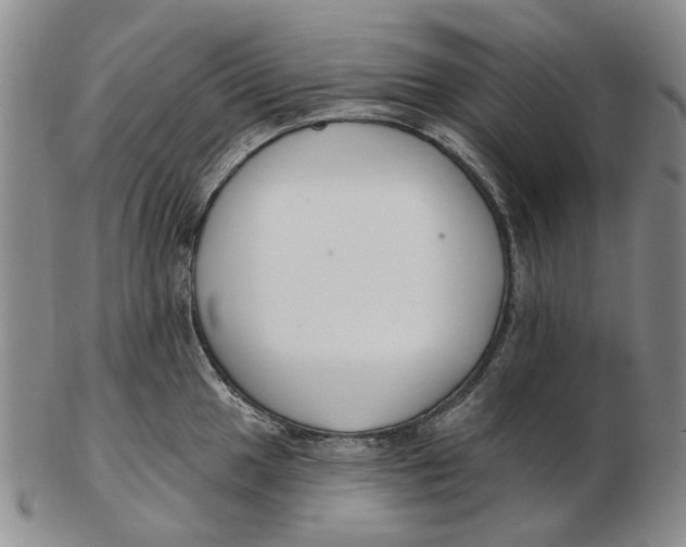 X0000102791049200809081045