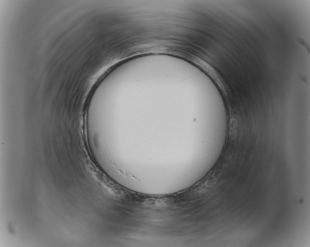 X0000102791051200809081045