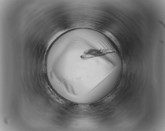 X0000102791052200809081045