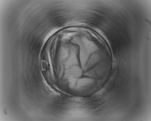 X0000102791053200809081045