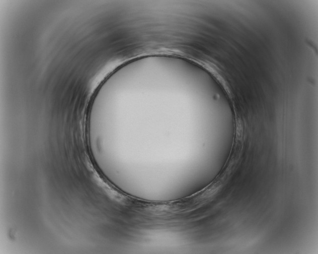 X0000102791054200809081045