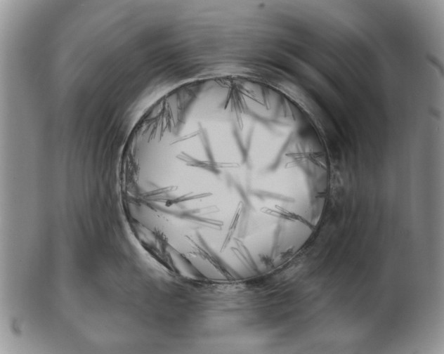 X0000102791055200809081045