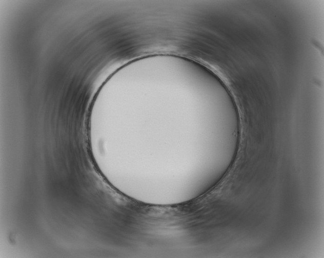 X0000102791056200809081045