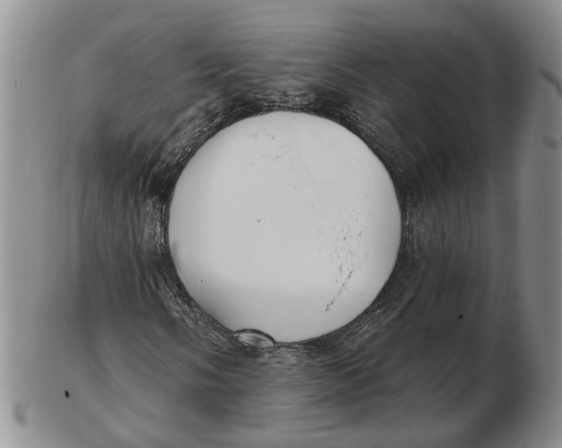 X0000102791058200809081044