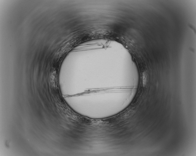 X0000102791059200809081044