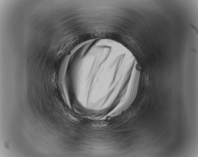 X0000102791060200809081044