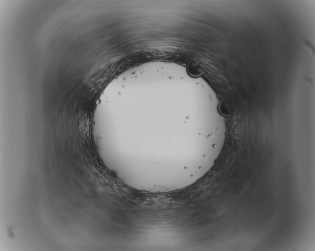 X0000102791061200809081044