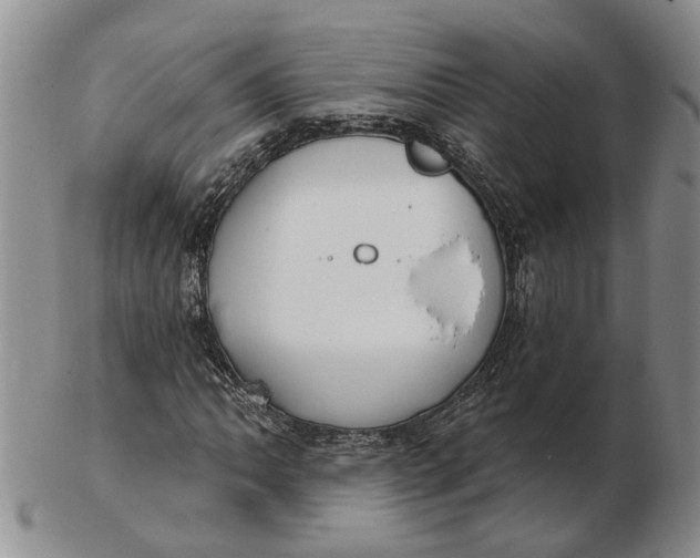 X0000102791062200809081044