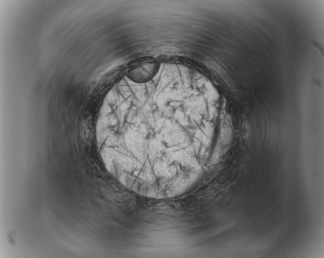 X0000102791063200809081044