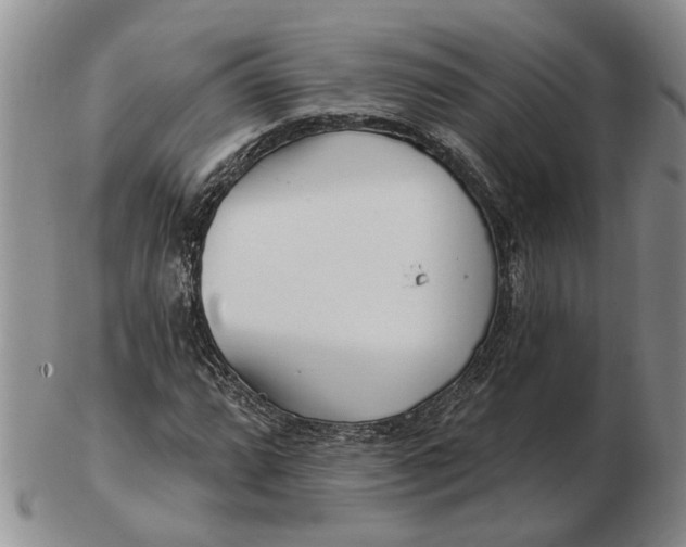 X0000102791064200809081044