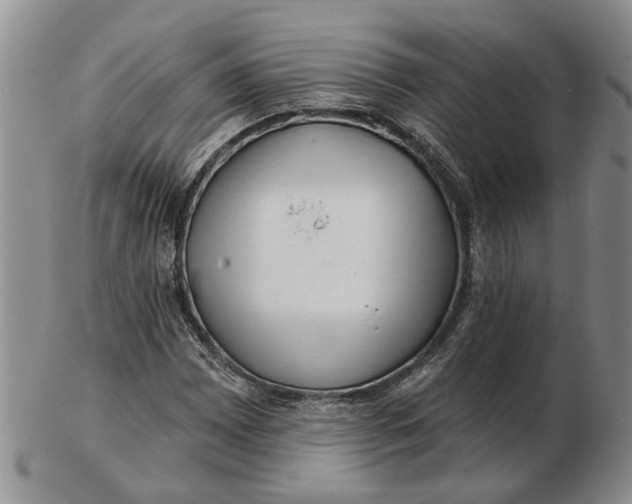 X0000102791065200809081044