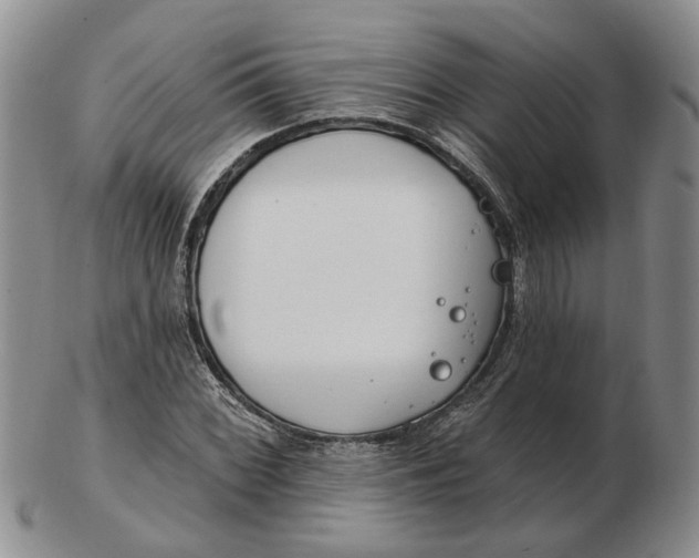 X0000102791068200809081044