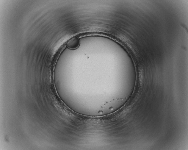 X0000102791069200809081044