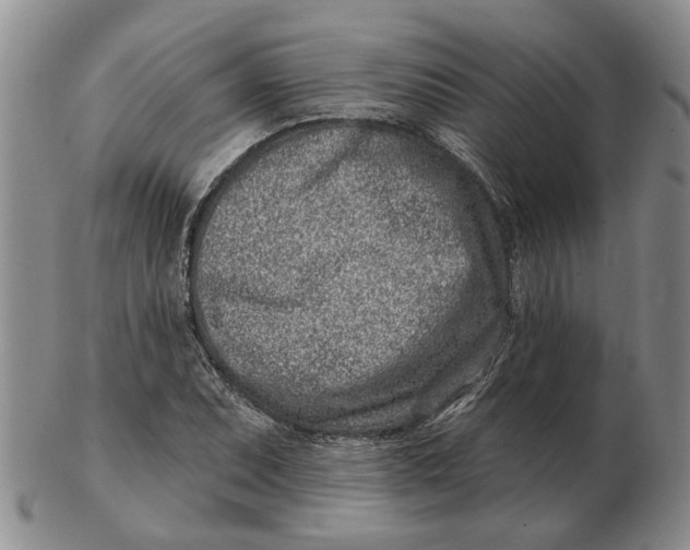 X0000102791071200809081044