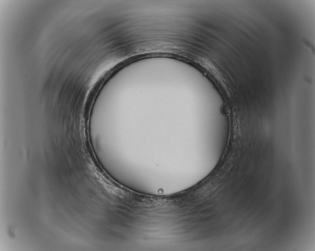 X0000102791072200809081044