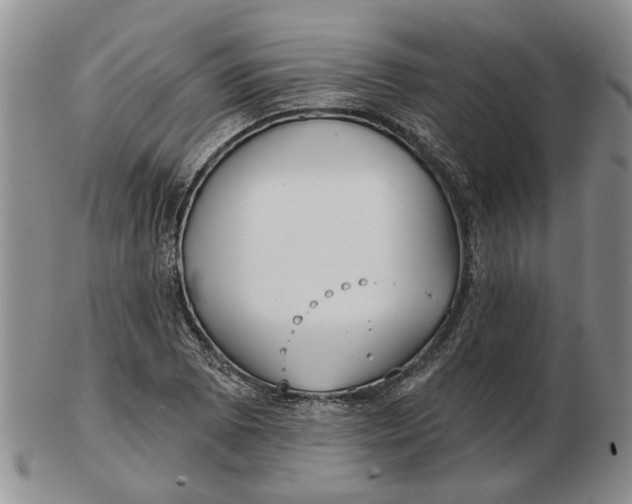 X0000102791073200809081044