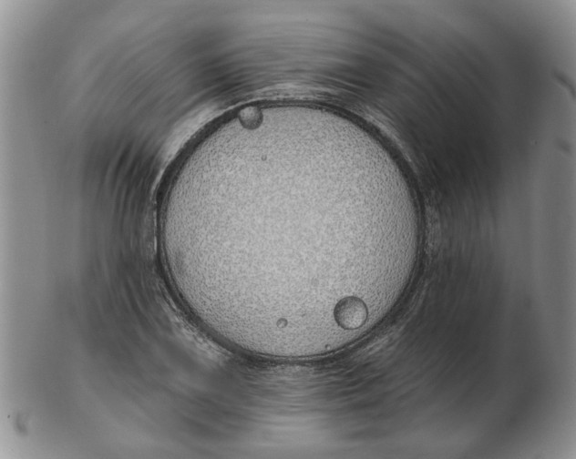 X0000102791075200809081044