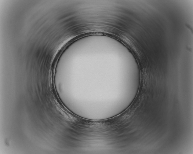 X0000102791076200809081044