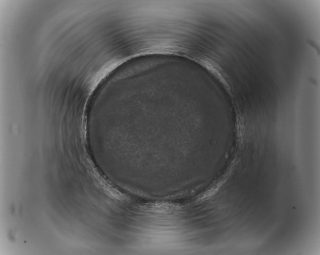 X0000102791077200809081044