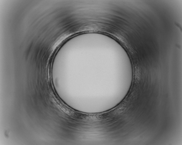 X0000102791078200809081044