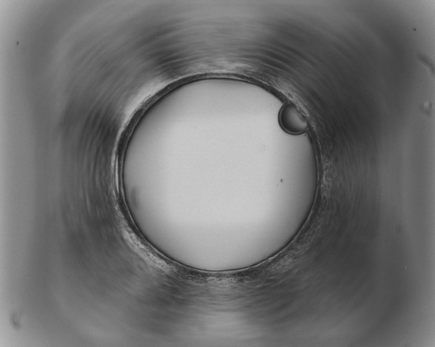 X0000102791080200809081044