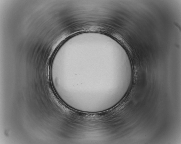 X0000102791083200809081044