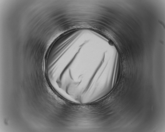 X0000102791084200809081044