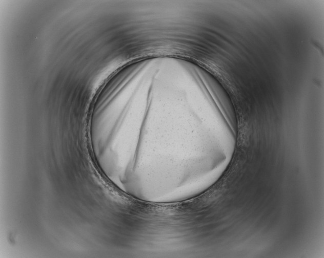 X0000102791086200809081044