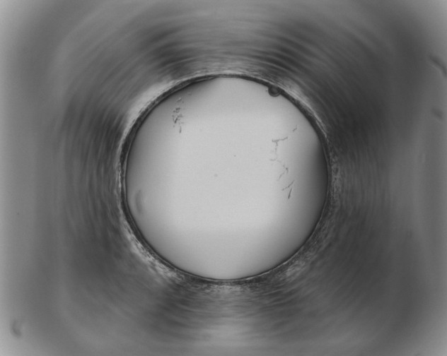 X0000102791088200809081044