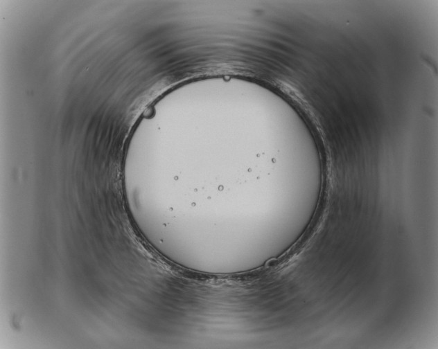 X0000102791089200809081044